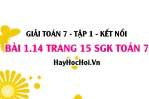 Giải bài 1.14 trang 15 Toán 7 Tập 1 SGK Kết nối tri thức
